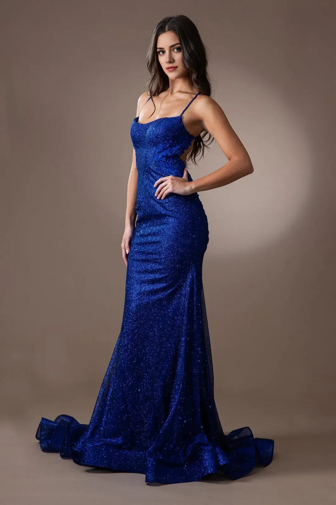 Charming Mermaid Glitter scoop neck Sleeveless Open Back Floor length embroidered applique prom dress for women hot sale