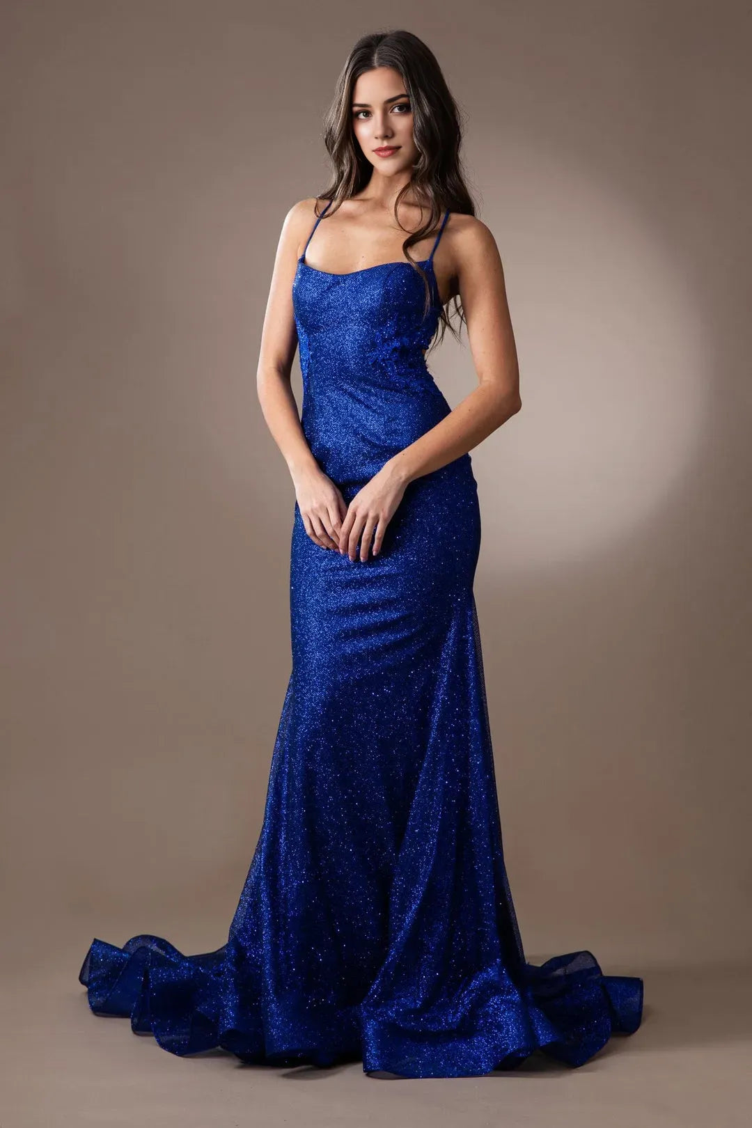 Charming Mermaid Glitter scoop neck Sleeveless Open Back Floor length embroidered applique prom dress for women hot sale