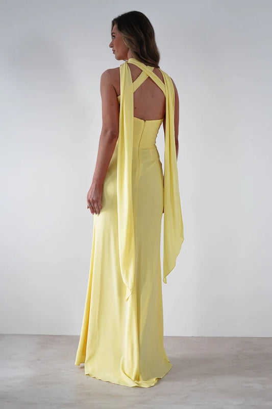 Strapless sleeveless neck tied dress