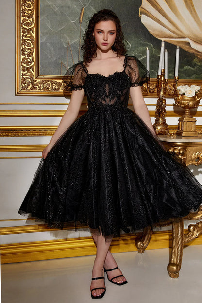 A-line black bubble sleeve transparent fishbone corset dress