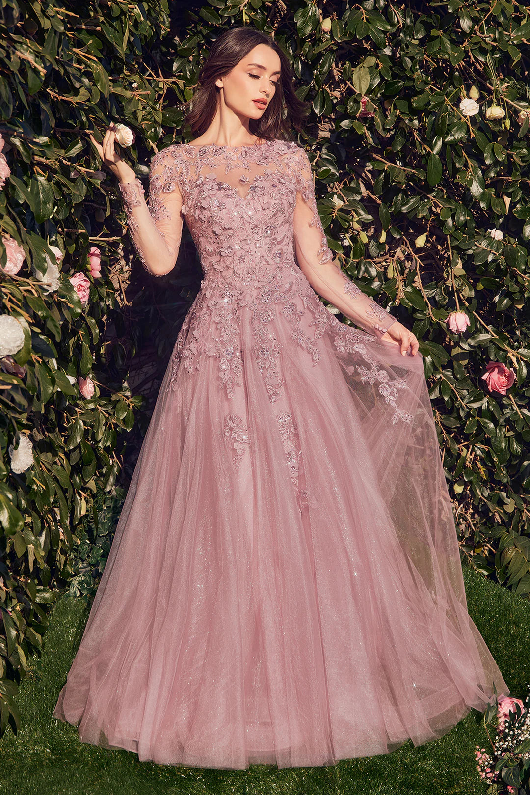 A-line lace applique long sleeved transparent V-neck dress