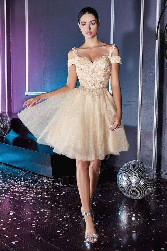 A-line shoulder dress with thin gauze skirt
