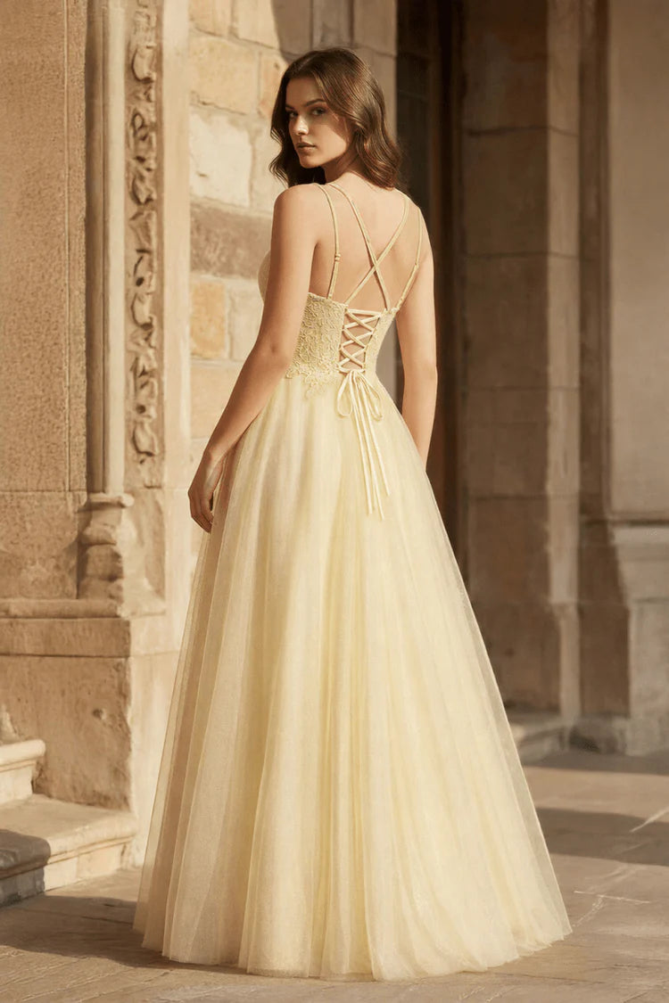 Champagne Spaghetti Strap Lace Tulle Evening Dresses