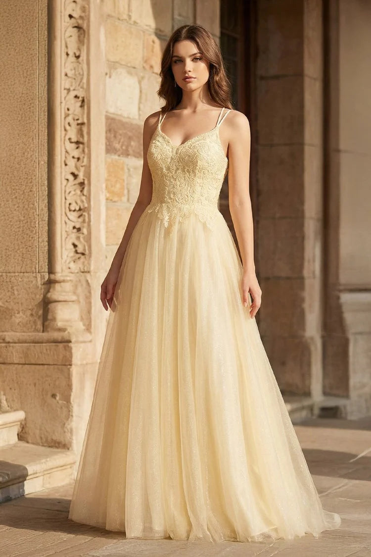 Champagne Spaghetti Strap Lace Tulle Evening Dresses