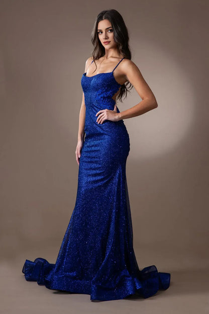 Charming Mermaid Glitter scoop neck Sleeveless Open Back Floor length embroidered applique prom dress for women hot sale