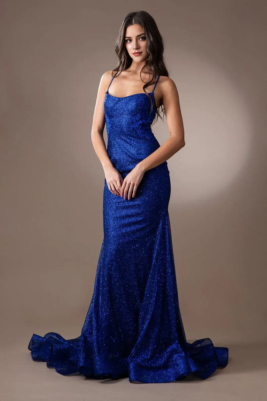 Charming Mermaid Glitter scoop neck Sleeveless Open Back Floor length embroidered applique prom dress for women hot sale