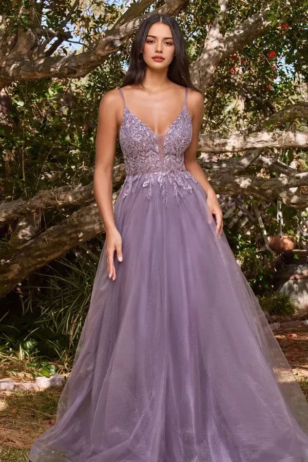 Elegant A-Line V-Neck Spaghetti Strap Beaded Tulle Floor-Length Appliques Prom Dress Hot Sale