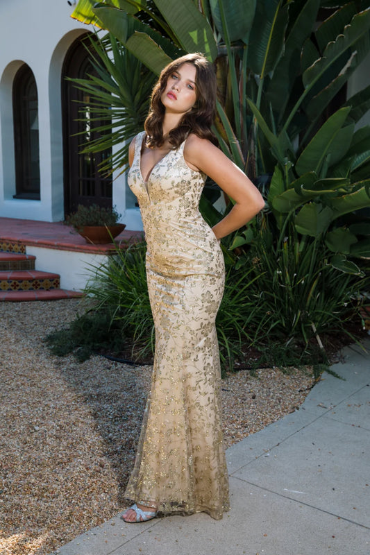 Mermaid V-neckline lace applique chiffon dress