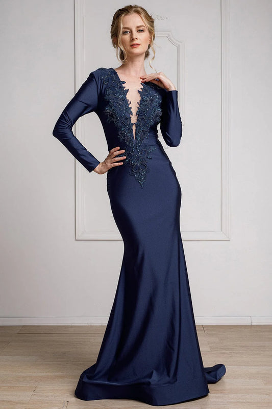 Mermaid lace applique long sleeved Lycra dress