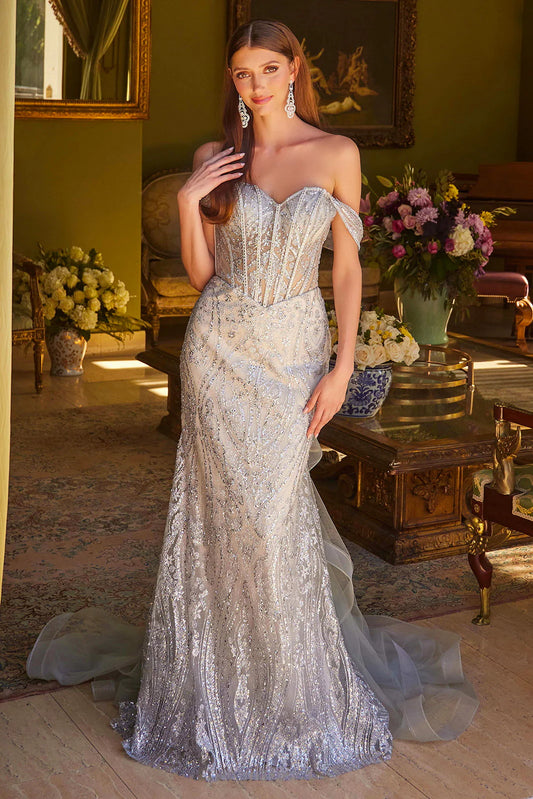 Mermaid off shoulder transparent corset dress with sheer tail