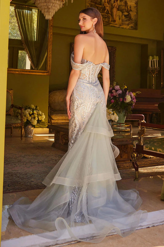 Mermaid off shoulder transparent corset dress with sheer tail