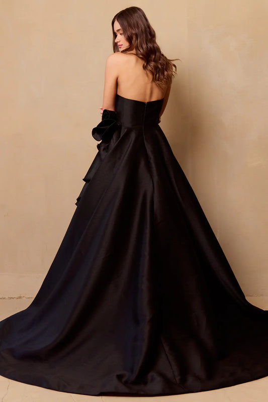 Sleeveless strapless A-line dress and floor length skirt