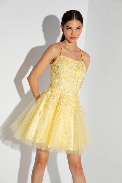 Thin strap applique sleeveless A-line dress